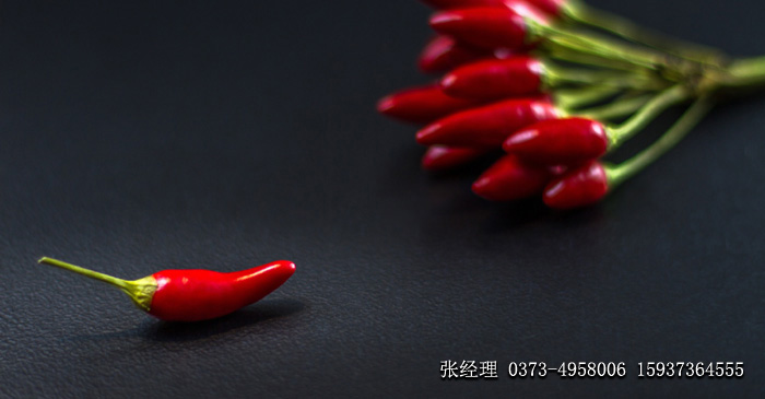 新乡市华隆德化工有限公司